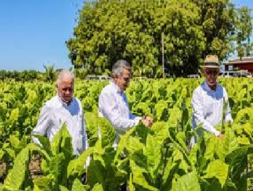 Foto Iván y productores de tabaco