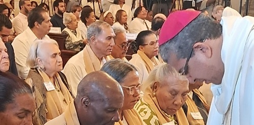 Foto Morel Diplán 54