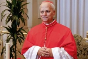 Foto Papa 14