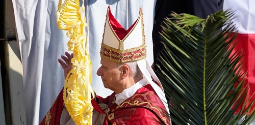 Foto Papa Leon en Domingo de Ramos