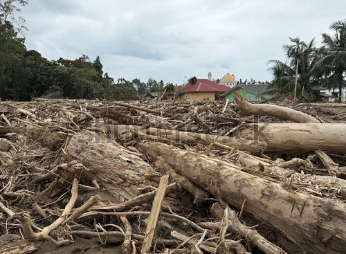 Foto daños en PP por lluyvias
