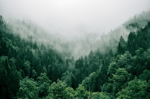 Foto medio ambiente